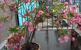 Aparts Altos del Centro